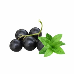 blackcurrant-menthol-flavour-concentrate