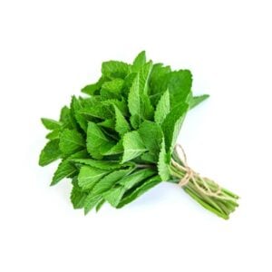 garden-mint-flavour-concentrate