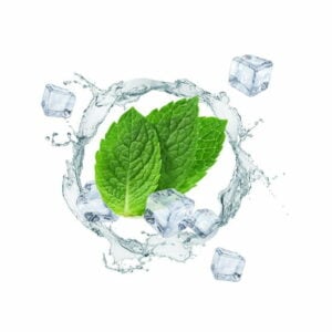 ice-mint-flavour-concentrate