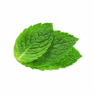 mint-flavour-concentrate