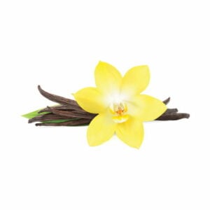 vanilla-flavour-concentrate