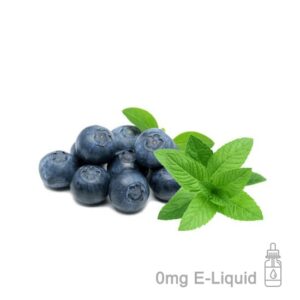 blueberry-menthol-e-liquid
