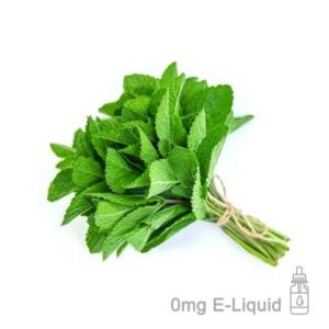 garden-mint-e-liquid