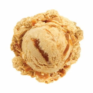 creamy-toffee-flavour-concentrate