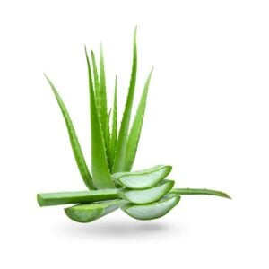 aloe-vera-flavour-concentrate