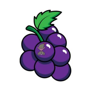 elf-grape-flavour-concentrate